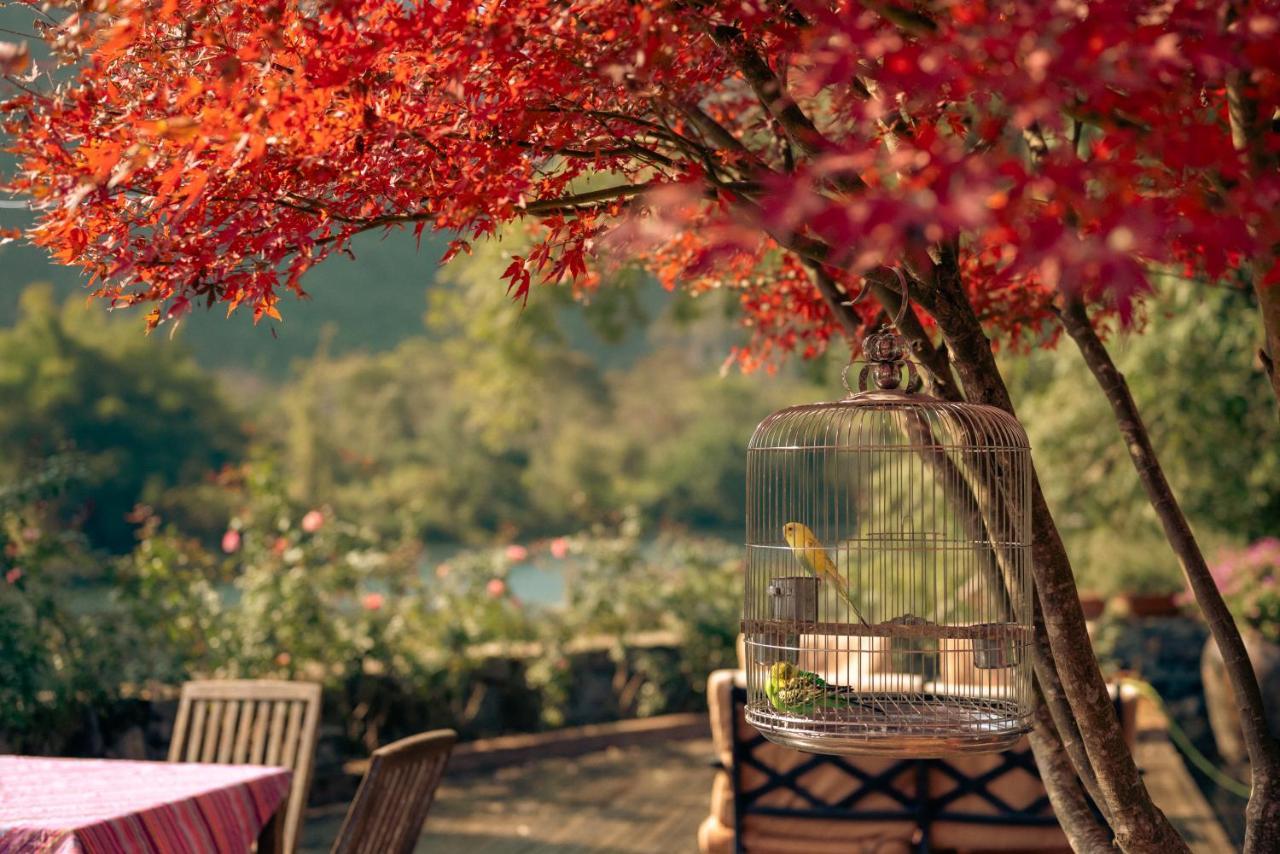 The Apsara Lodge Yangshuo Εξωτερικό φωτογραφία