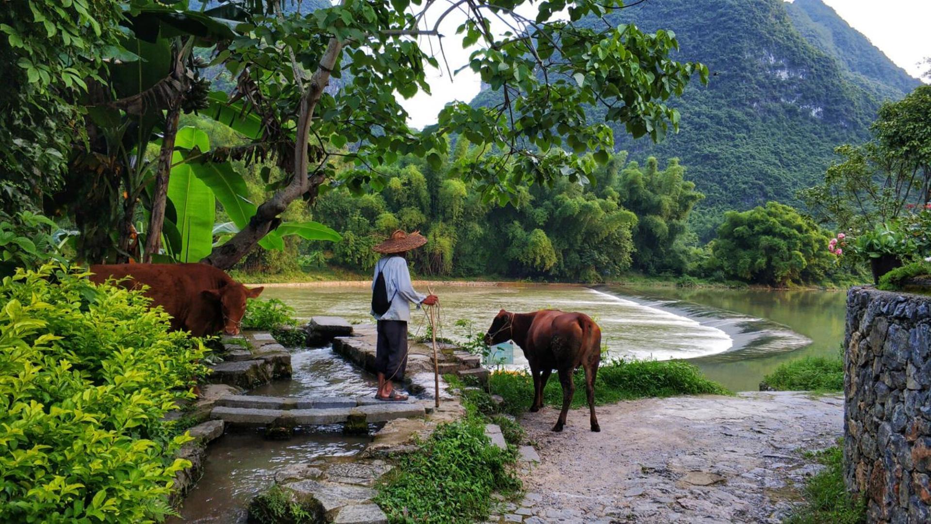 The Apsara Lodge Yangshuo Εξωτερικό φωτογραφία