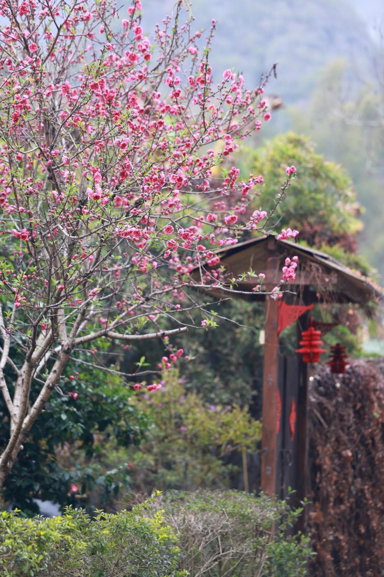 The Apsara Lodge Yangshuo Εξωτερικό φωτογραφία