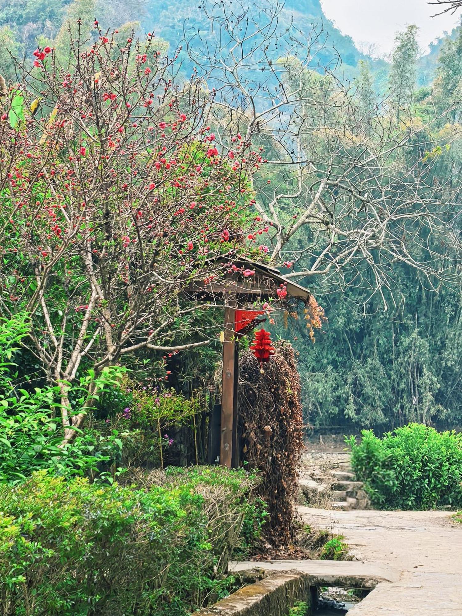 The Apsara Lodge Yangshuo Εξωτερικό φωτογραφία